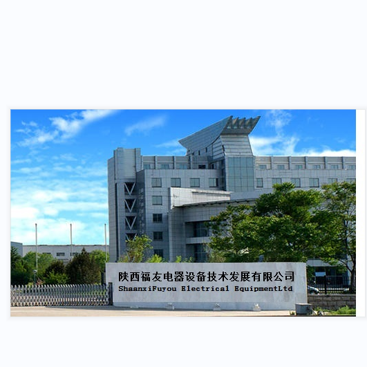 Shaanxi Fuyou Electrical Equipment Technology Development Co., Ltd. company overview - view 1
