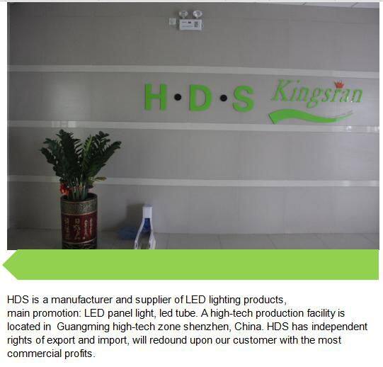 HDS Lighting Limited company overview - view 1