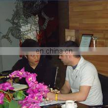 Zigong Dino City Culture&Art Co., Ltd. company overview - view 2