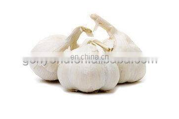 High efficiency automatic fresh garlic root cutting machine