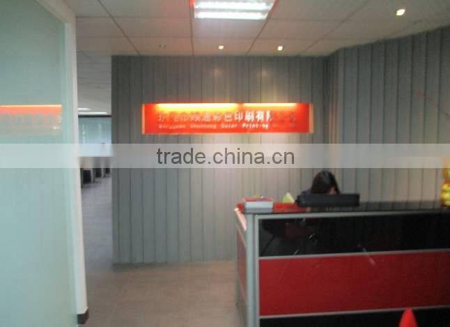 Dongguan Shuntong Color Printing Co., Ltd. company overview - view 2