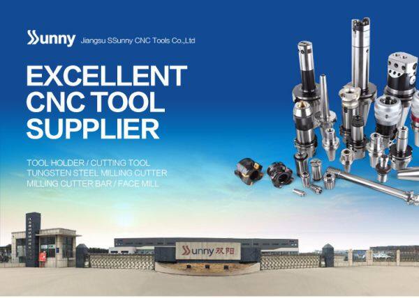 Jiangsu SSunny CNC Tool Co.,Ltd company overview - view 1