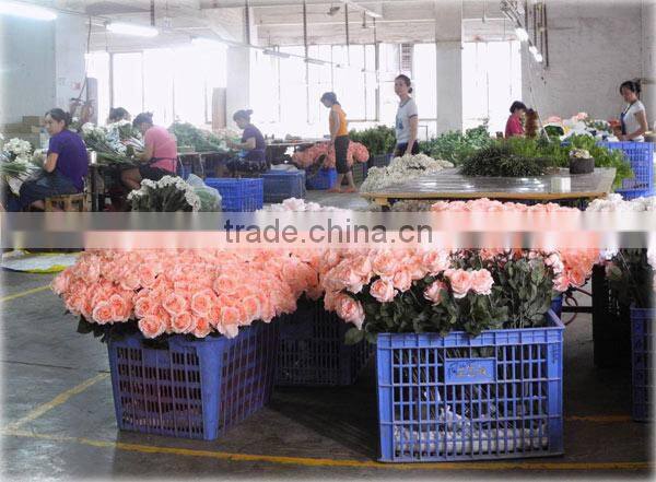 Yiwu Rocky Arts And Crafts Factory company overview - view 1