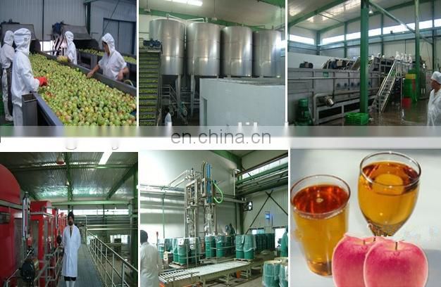Top quality apple juice process plant / apple juice extracting press