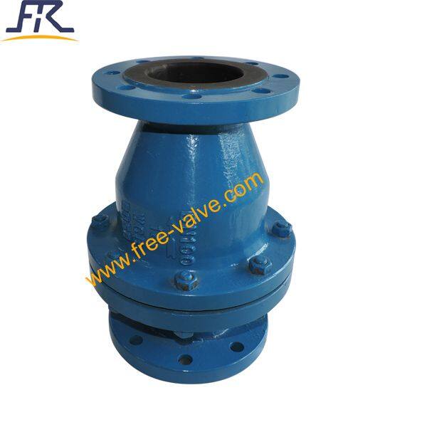 Rubber Lined Check Valve 4911