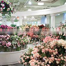 Poppy Inc company overview - view 1