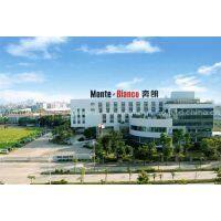 Monte-Bianco Diamond Applications Co.,Ltd. company overview - view 1