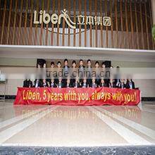Liben Group Wenzhou Toy Co., Ltd. company overview - view 1