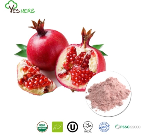 What Are the Benefits of Pomegranate Powder?