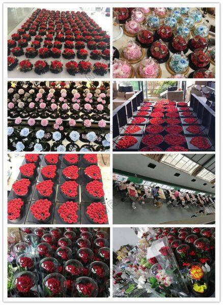 Kunming Foreverose Trading Co., Ltd company overview - view 3