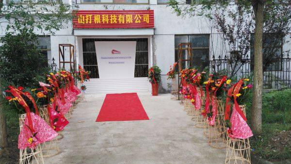 Yangzhou SanDaKan Model Technology Co., Ltd. company overview - view 1