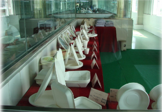 Shandong Tranlin Straw New Environmental Joint And Stock Co.,Ltd company overview - view 2