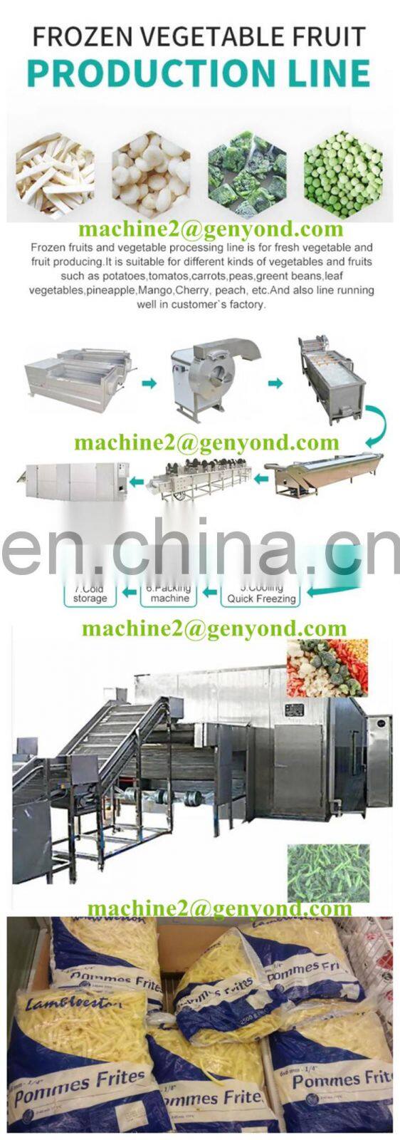 Customized iqf frozen machine good price