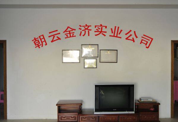 Guangdong Zhaoyun Jinji Industrial Co., Ltd. company overview - view 1