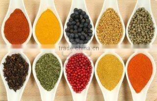 Sunita Exports company overview - view 2