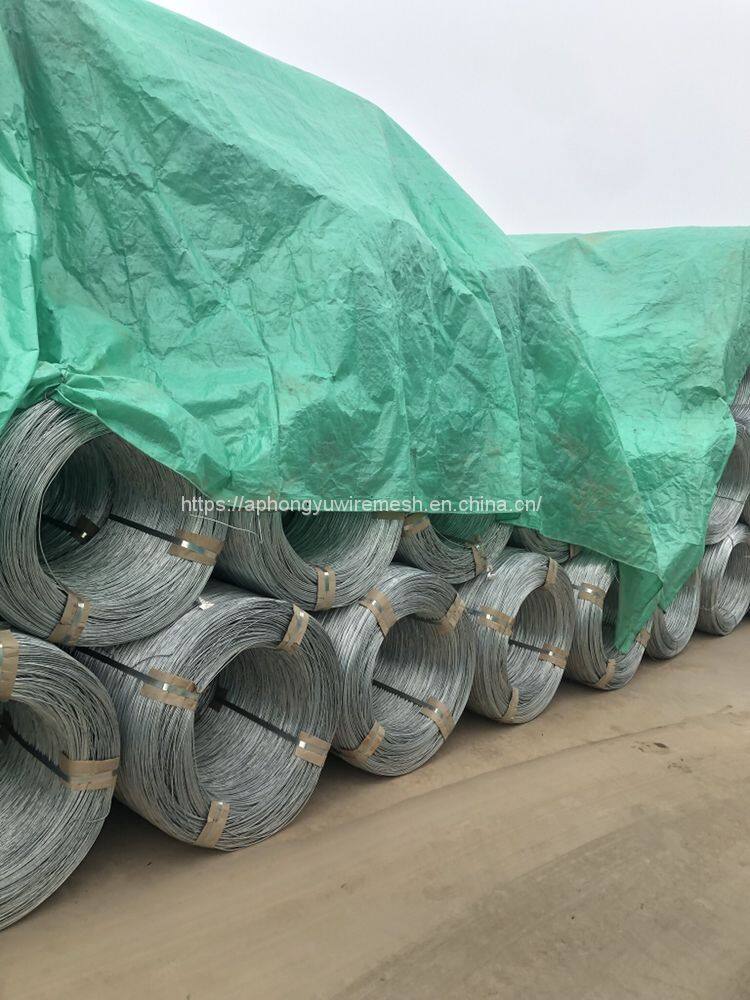 6E3EBE07-EA0B-4327-BF47-762054D0D7CE