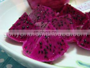 full automatic dragon fruit jam making machine