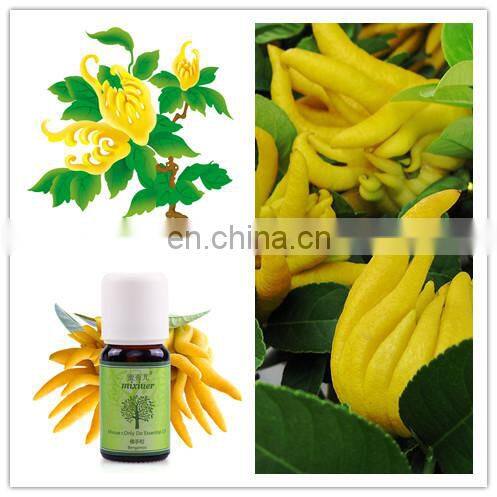 high efficient cumin/angled bittersweet/ chili/ suaeda glauca/burdock seed oil extractor