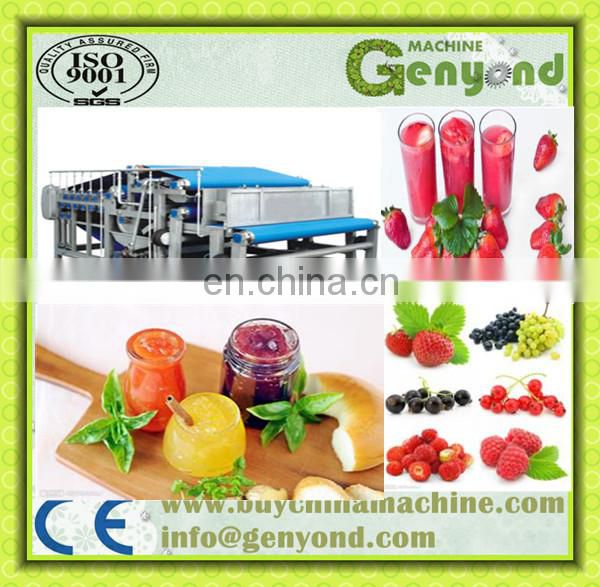 High quality industrial belt type fresh fruit press and juice extractor