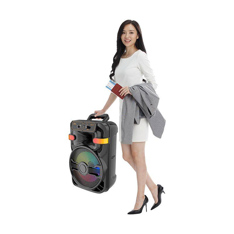 ZQS10102 active 30W power 2400MAH battery capacity speaker single 10 inch bass bluetooth speaker