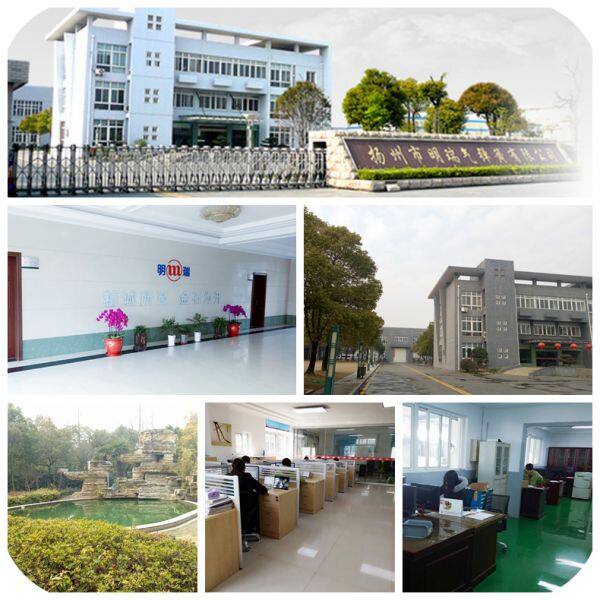 Jiangsu Mingrui Gas Spring Technology CO.,LTD company overview - view 1