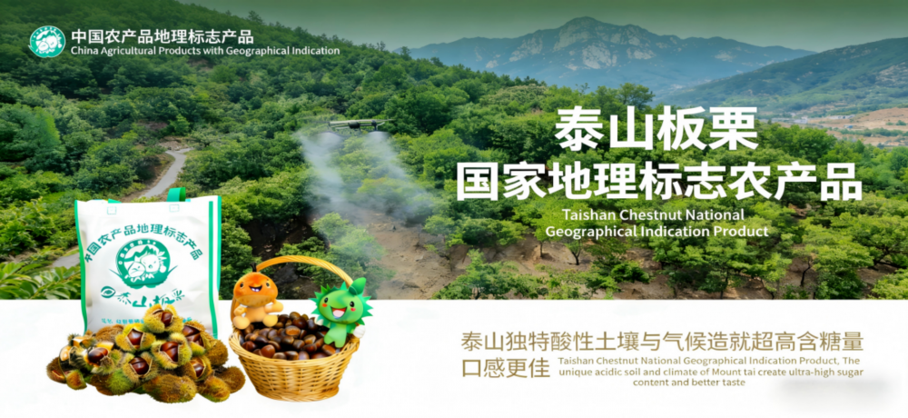 Shoptop 手机端横幅显示不全及解决 (1) - 副本