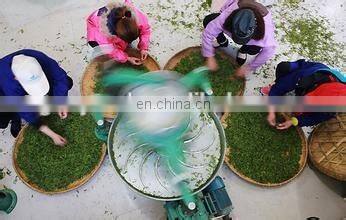 Black tea rolling machine / Black Tea Twisting Machine