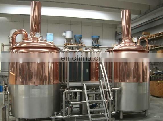 500L mini beer processing plant