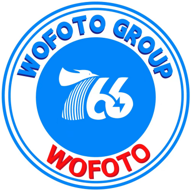 Wuhan Wofoto Electric Co., Ltd.
