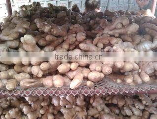 Qingdao W.R.Y Industry Trading Co., Ltd. company overview - view 2