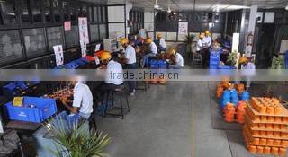 Cair Euromatic Automation Pvt. Ltd. company overview - view 1