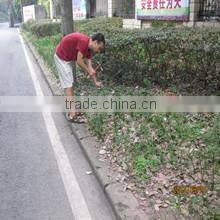 Chongqing Gold Mechanical & Electrical Equipment Co., Ltd. company overview - view 2