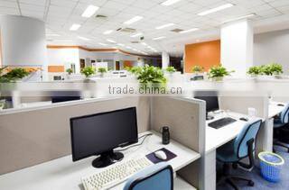 Zhengzhou Thrive Trade Co., Ltd. company overview - view 1