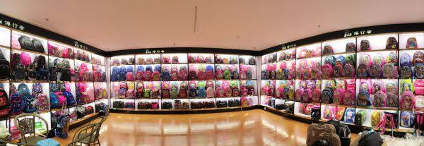 Hunan Province Bo Walker Leather Co., Ltd company overview - view 4