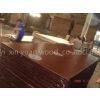 Linyi Xin Yuan Wood Co.,ltd company overview - view 1