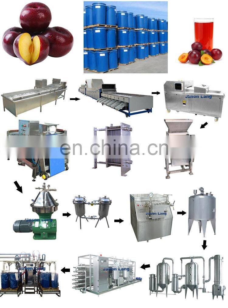 GYJL-2020 Complete Concentrated black plum juice production line