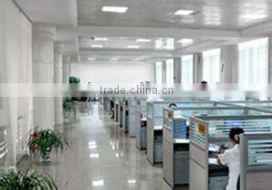 Shenzhen DragonWorth Technology Co., Ltd. company overview - view 2