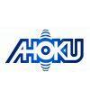 ahoku electronic company