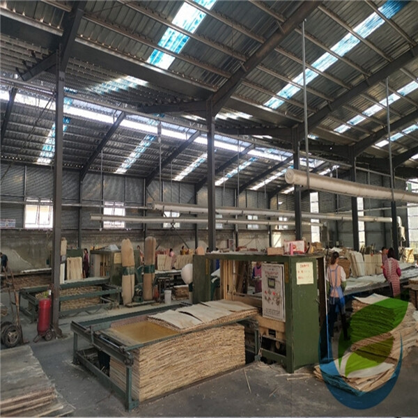 Global Plywood Biz (Linyi) Co.,Ltd. company overview - view 3