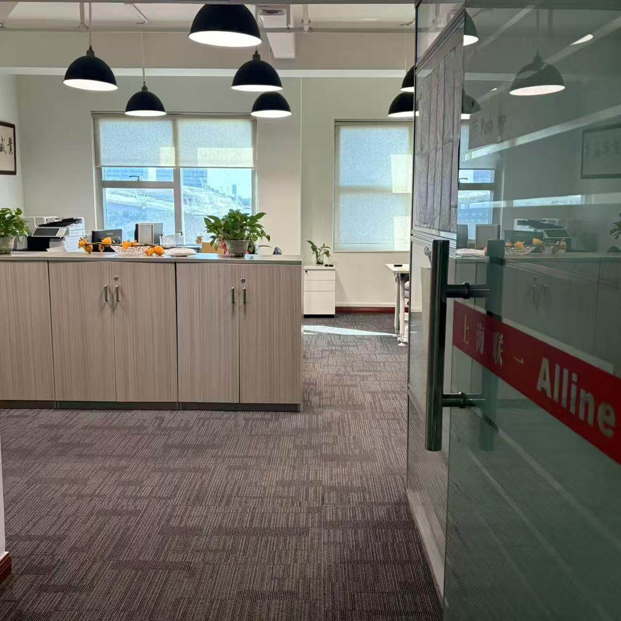 Shanghai Alline Digital Technology Co.,Ltd. company overview - view 1