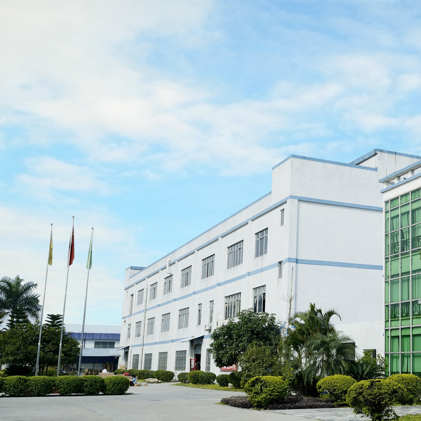 Guangdong Netion Power Electronics Technology Co., Ltd. company overview - view 1