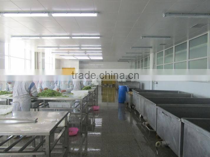 Dalian Gaishi Health Food Co., Ltd. company overview - view 4