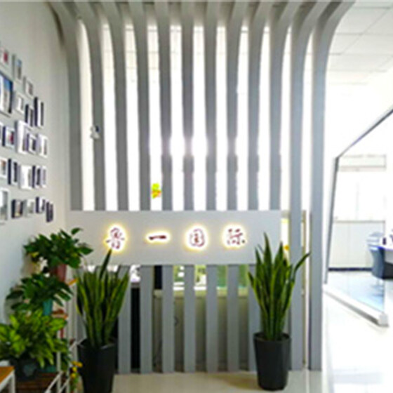 Shandong Luyi Vehicle Co., Ltd. company overview - view 1