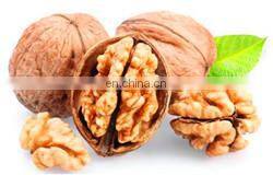 full automatic argania spinosa/argan oil/fat/grease extractor/extracting machines