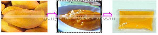 stainless steel mango juice machine for mango processing /mango beater /mango destoner