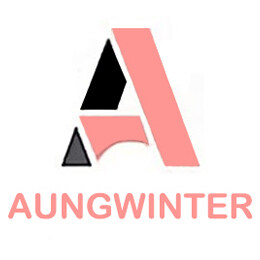 Shenzhen Aungwinter co.ltd