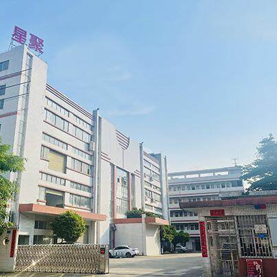 Guangdong Polystar Materials Technology Co.,Ltd. company overview - view 1