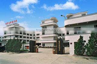 Guangdong Xinning Technology Toy Factory company overview - view 1