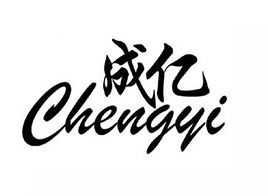 Guangzhou Chengyi Electrical Appliance Co., Ltd.