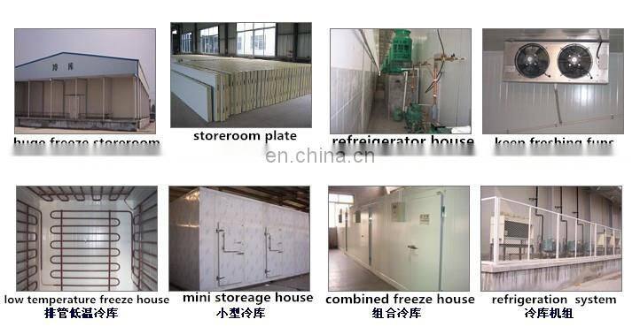 vegetable/ fruits /meat/ beef quick freeze warehouse 200mm